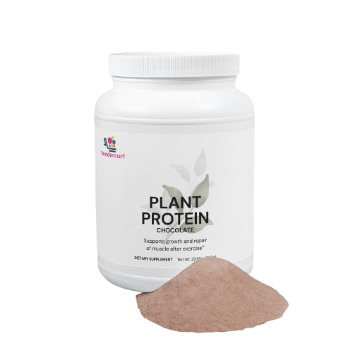 Slate Recovery Plant Chocolate Protein