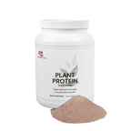 Slate Recovery Plant Chocolate Protein