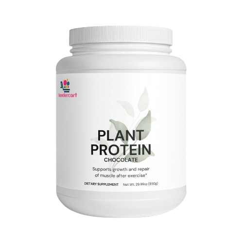 Slate Recovery Plant Chocolate Protein