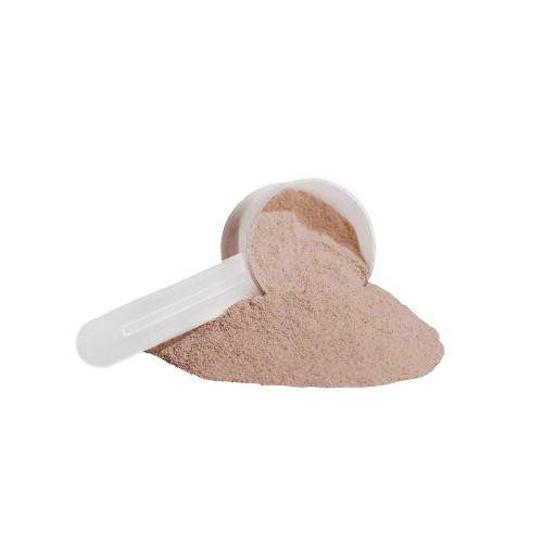 Slate Recovery Plant Chocolate Protein