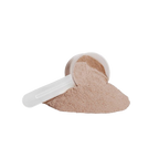 Slate Recovery Plant Chocolate Protein