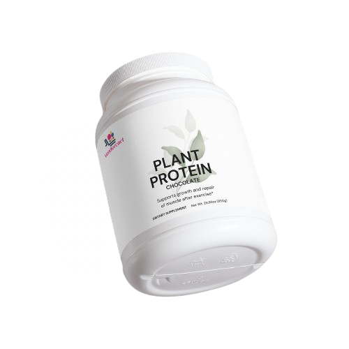 Slate Recovery Plant Chocolate Protein